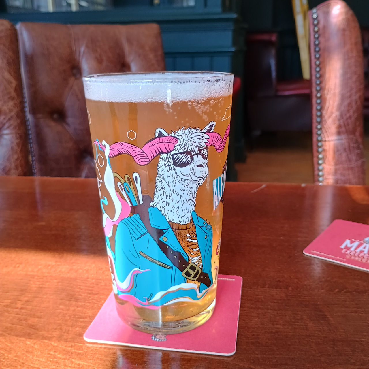 A full glass of Alpacalypse, showing a leather jacket wearing, post apocalyptic alpaca.